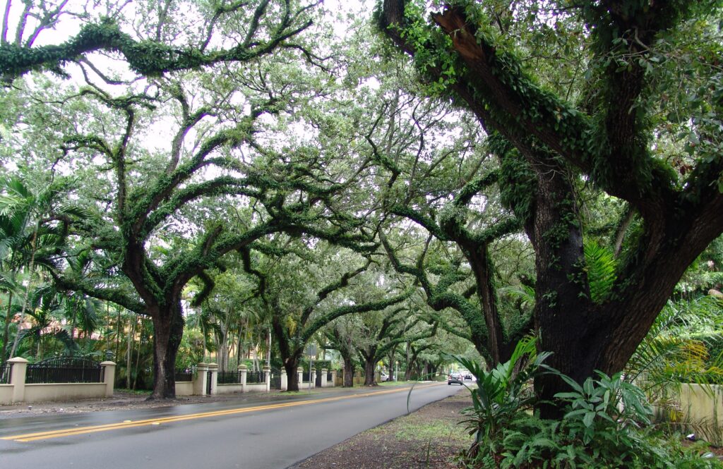 South Coral Gables Real Estate